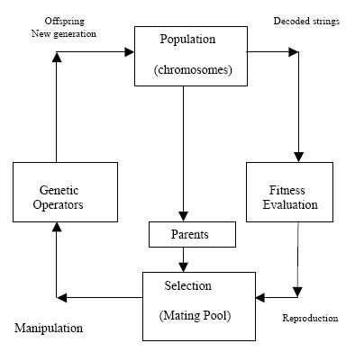 Genetic Algorithms Cycle